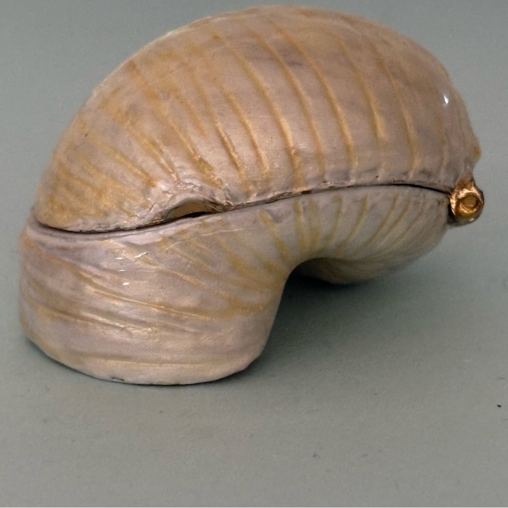 Monet 2011 Collectible Nautilus Shell Pearl Metal Ceramic Hinged Treasures Box - Picture 3 of 7